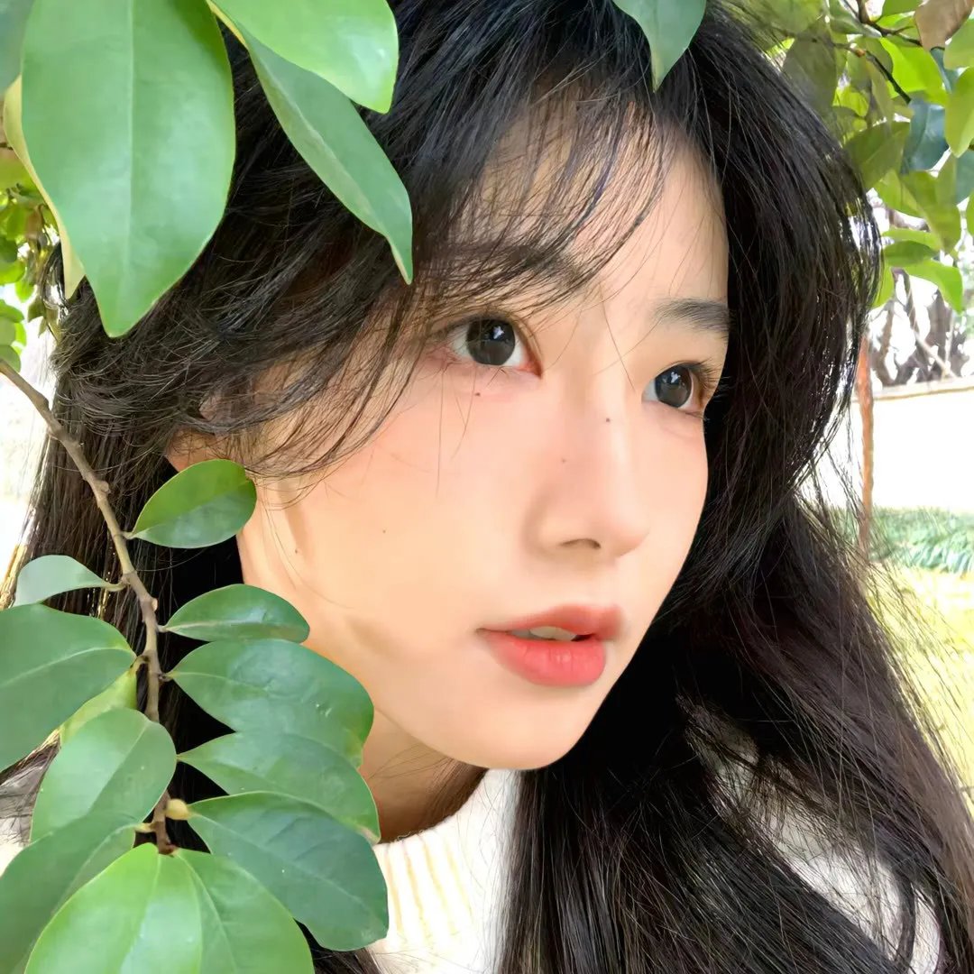 失落的部落